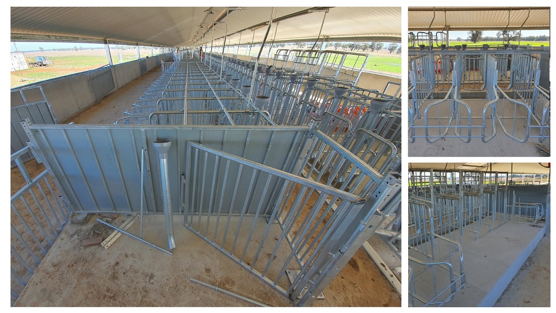 BD Flip: Group Housing with single stalls, manual doors with uninterrupted feeding area