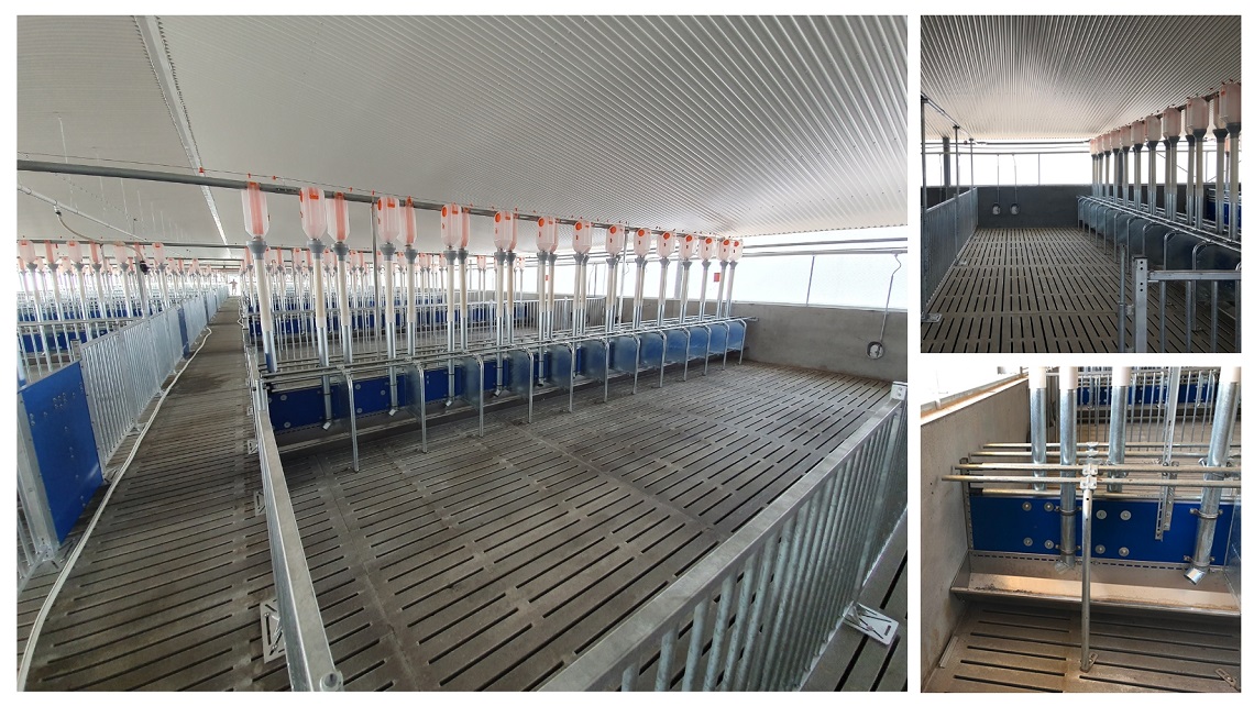 Head/quarter stall sow management housing and feeding systems for gestating sowshese systems depends on farm-specific needs and management practices.